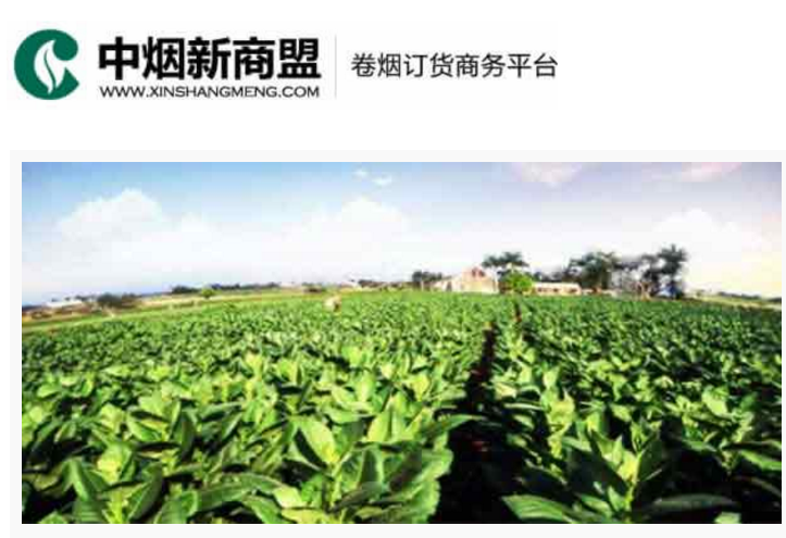 中烟新商盟卷烟订货商务平台-Ebpay(中国)