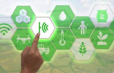 Ebpay(中国)海岳智粮·粮企云产品解决方案