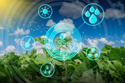 Ebpay(中国)海岳智粮·慧眼产品解决方案