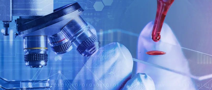 Ebpay(中国)网络+银丰生物集团 打造科研创新“加速度”